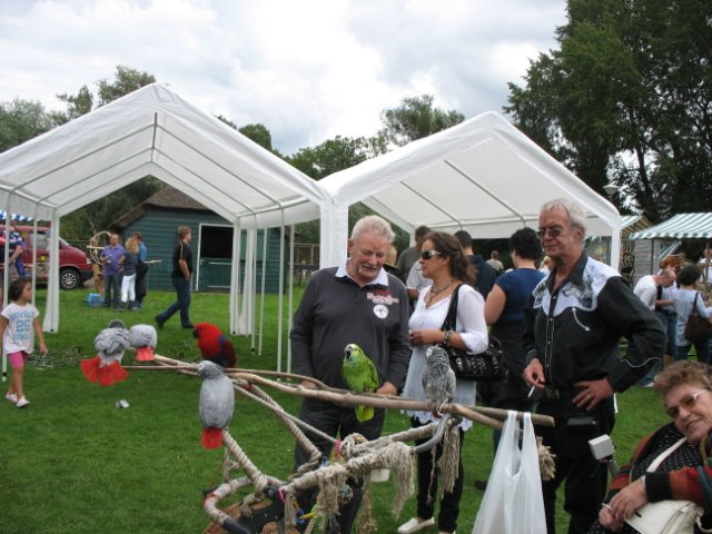 2011-08-14 stuif-in Kralingsebos